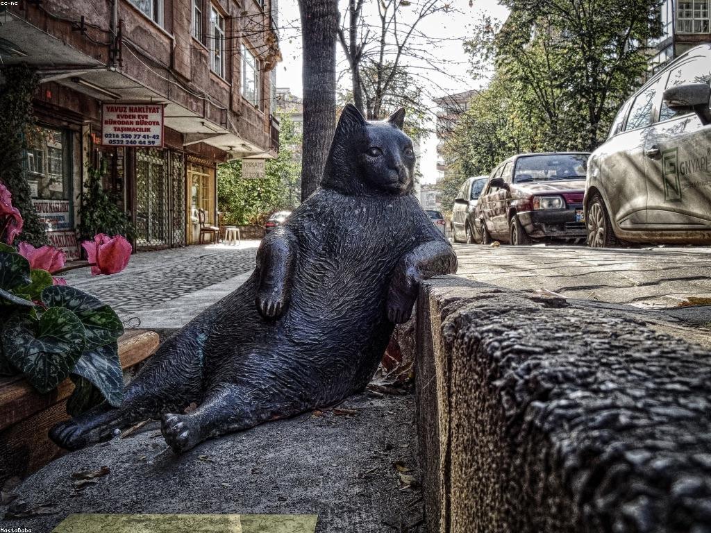 យល់ដឹងអំពីកម្មវិធីប្រាក់រង្វាន់