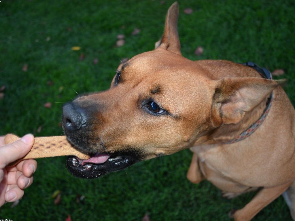 បាញ់មួយគ្រាប់ ទទួលបានប្រាក់ភ្លាម៖ ផ្លូវជោគជ័យសម្រាប់អ្នកកំសាន្ត